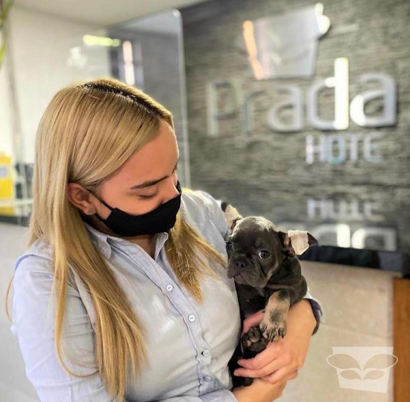 Hotel Prada Sas Bello Esterno foto